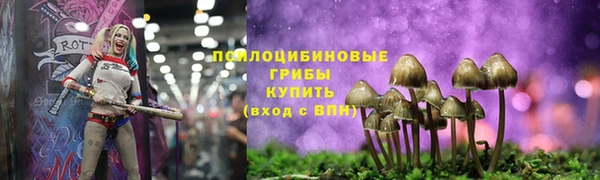 твердый Сатка