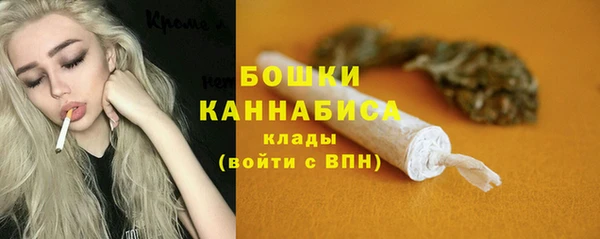 Альфа ПВП Белокуриха