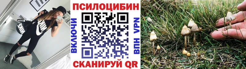 Псилоцибиновые грибы Psilocybine cubensis  Верхний Тагил 